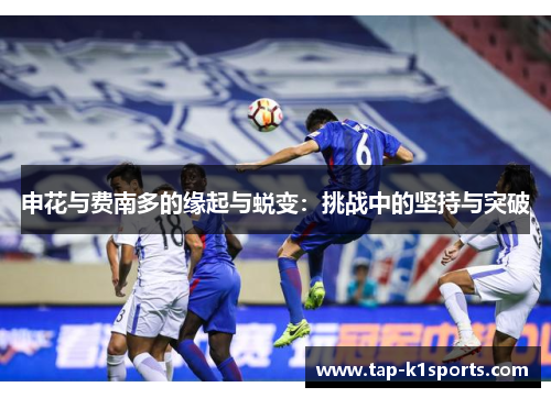 申花与费南多的缘起与蜕变：挑战中的坚持与突破