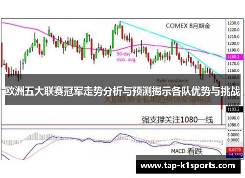 欧洲五大联赛冠军走势分析与预测揭示各队优势与挑战