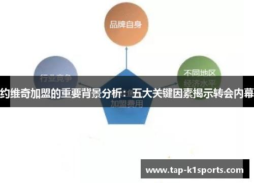 约维奇加盟的重要背景分析：五大关键因素揭示转会内幕