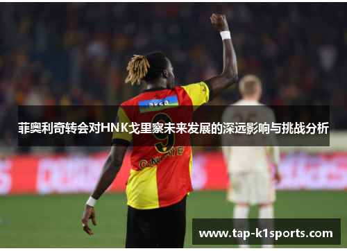 菲奥利奇转会对HNK戈里察未来发展的深远影响与挑战分析